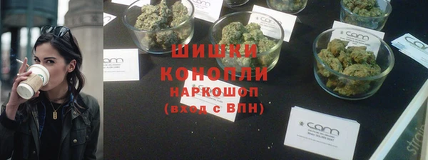 apvp Заполярный
