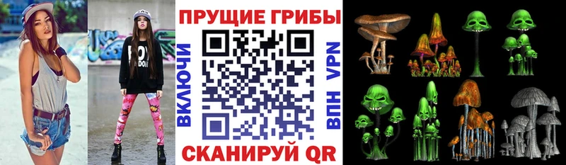 Псилоцибиновые грибы Magic Shrooms  купить наркоту  Азов 
