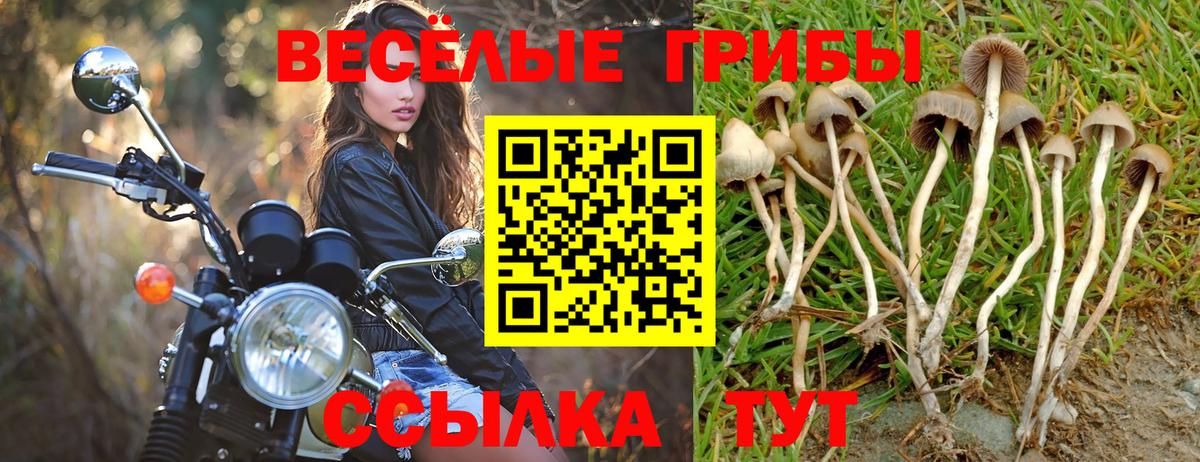 Псилоцибиновые грибы GOLDEN TEACHER  Азов 