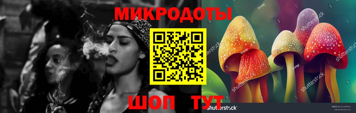 Псилоцибиновые грибы мицелий Азов